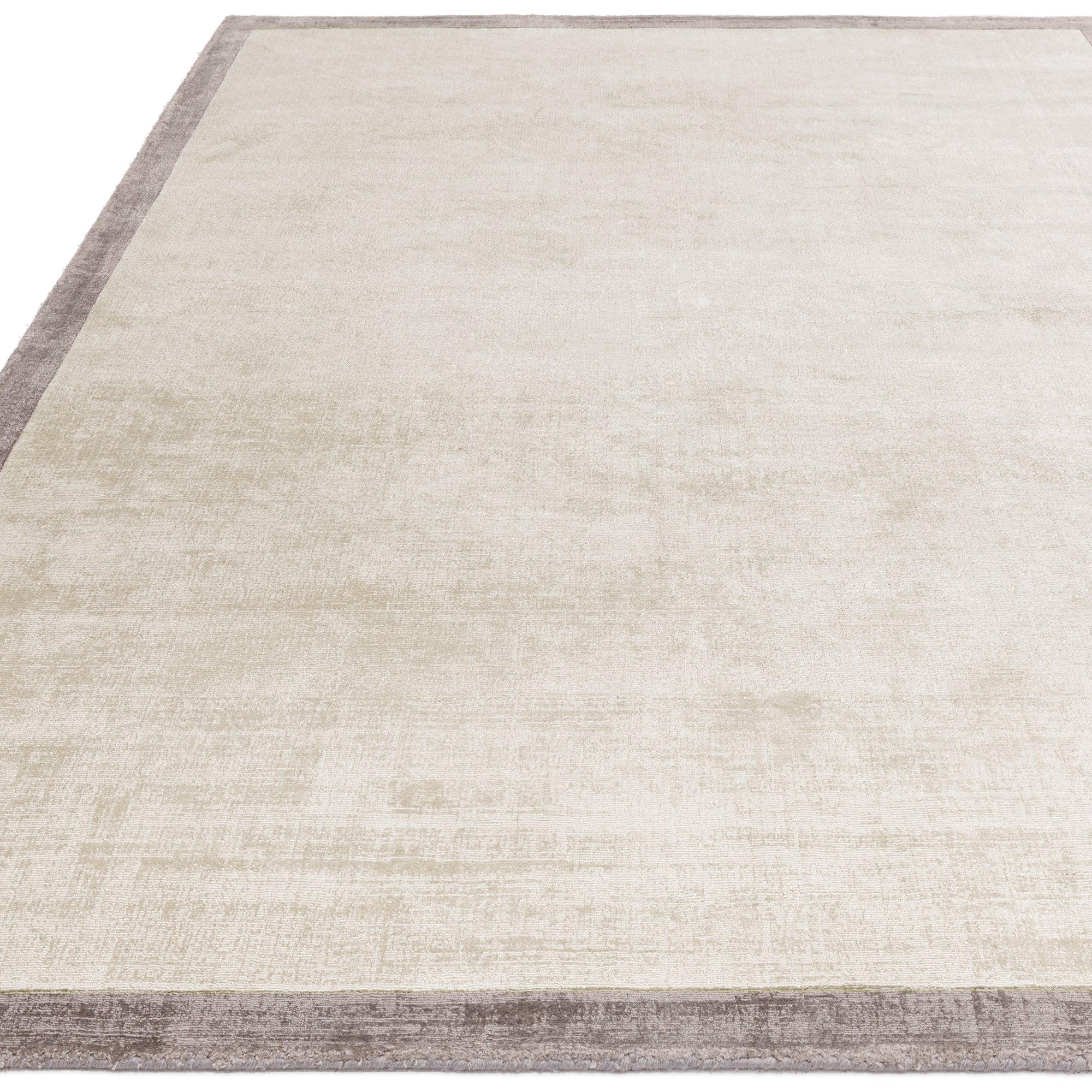 Blade Border Fine 07 Putty / Silver Rug