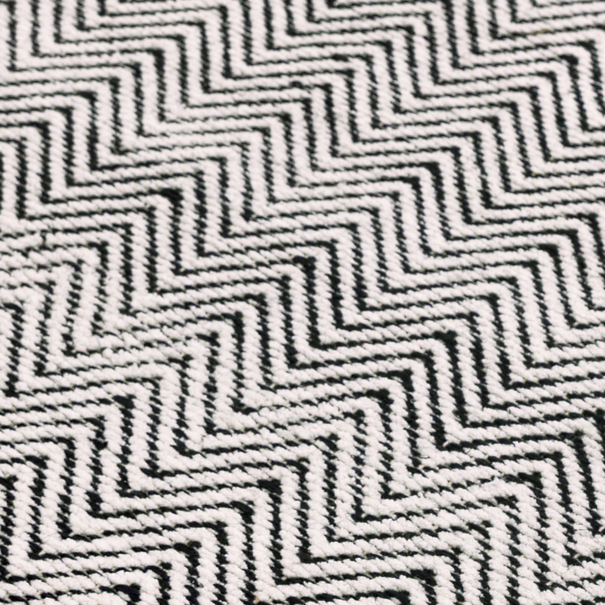 Ives Black / White Rug