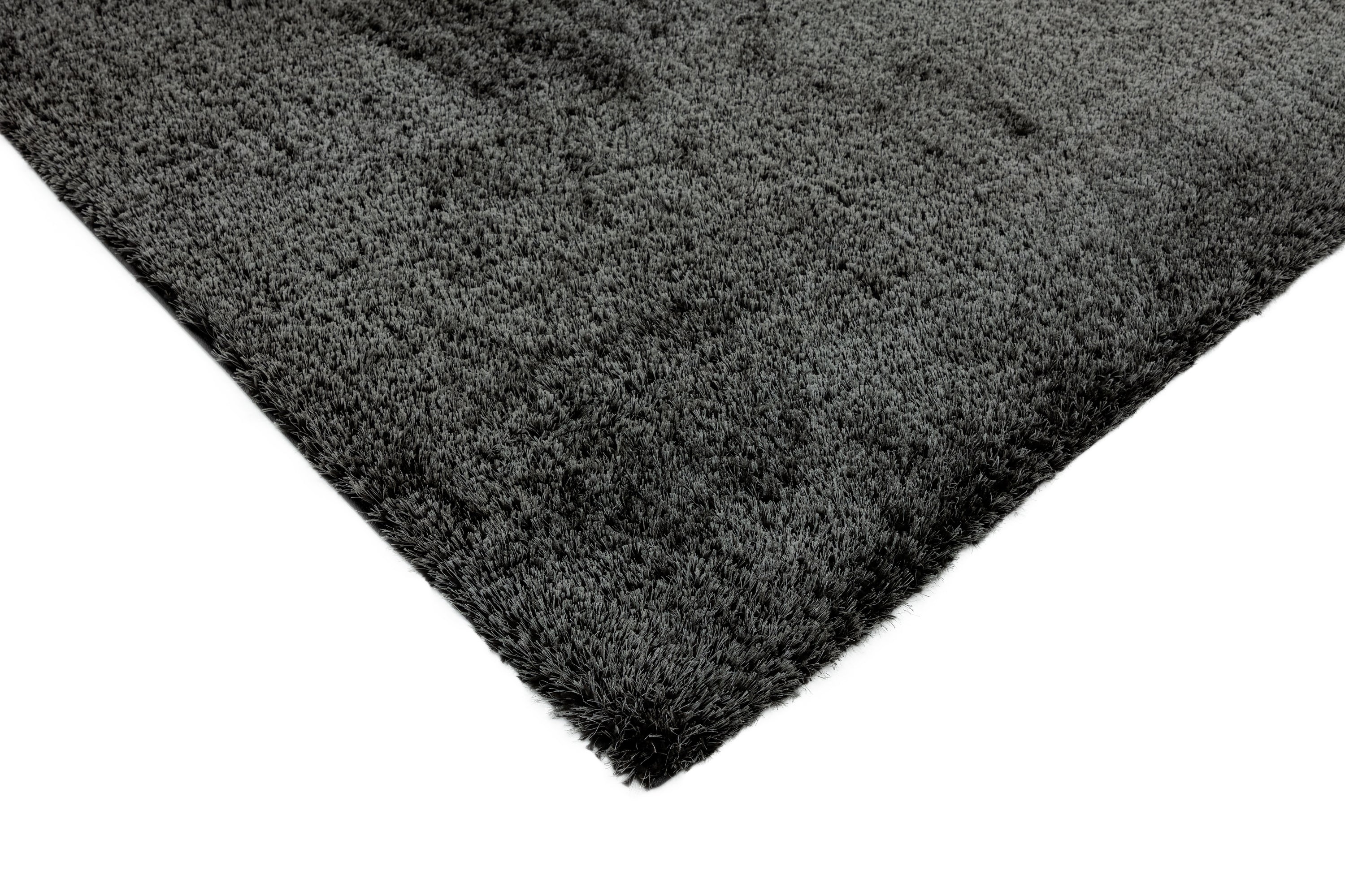 Payton Charocal Rug