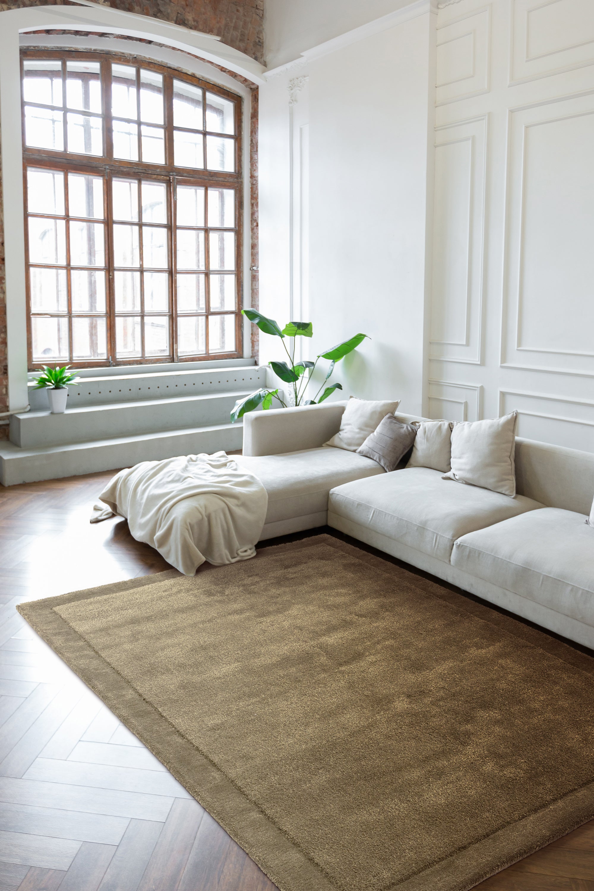 Rise Olive Rug
