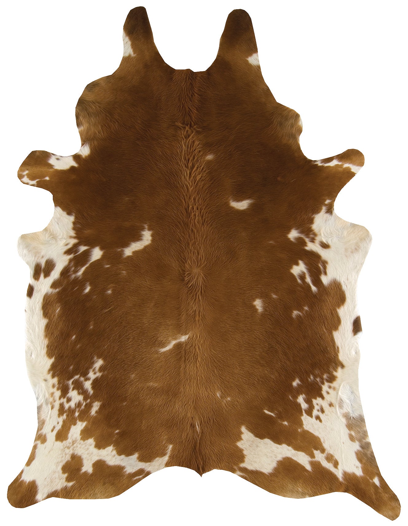 Rodeo Brown Rug