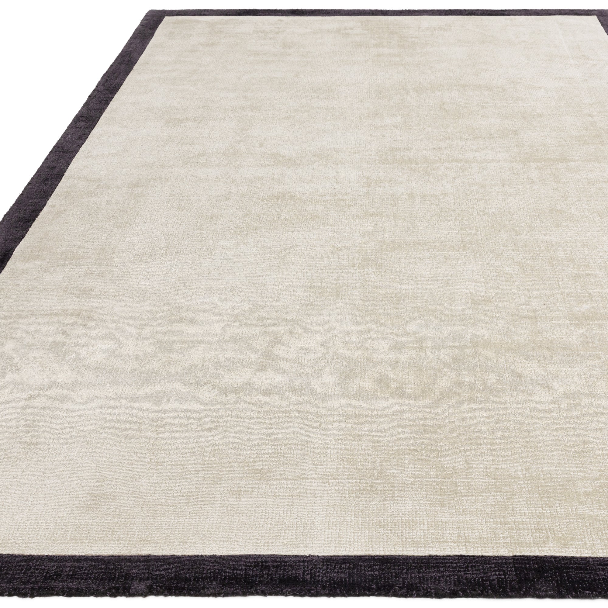 Border Fine 10 Putty/Charcoal Rug